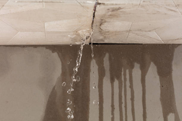 Professional Structural Drying technician working in Sunfield, MI